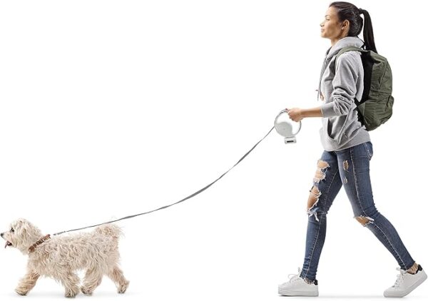 قلاده سگ Dog Leash همراه با چراغ قوه مدل S62 - Image 2